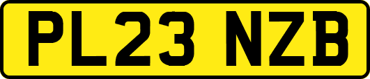 PL23NZB
