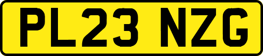 PL23NZG