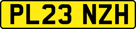 PL23NZH