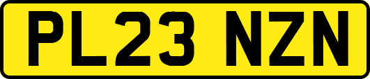 PL23NZN