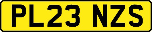 PL23NZS