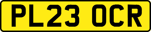 PL23OCR