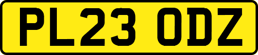 PL23ODZ