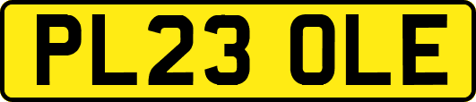PL23OLE