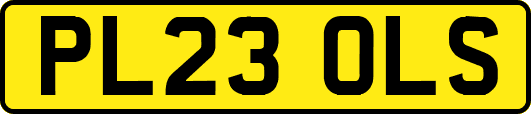 PL23OLS