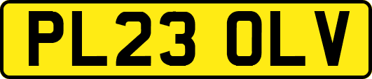 PL23OLV