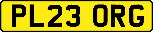 PL23ORG
