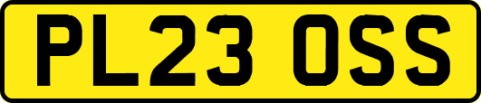 PL23OSS