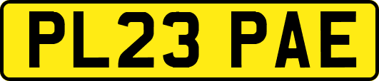 PL23PAE