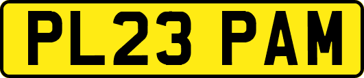 PL23PAM