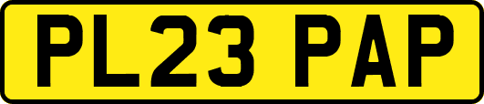 PL23PAP