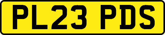 PL23PDS
