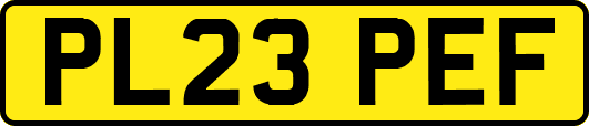 PL23PEF