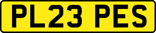 PL23PES