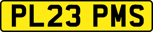 PL23PMS