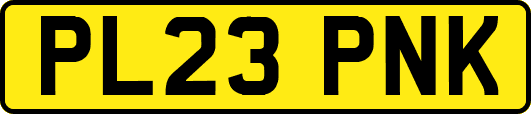 PL23PNK