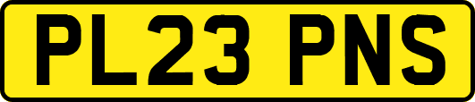 PL23PNS