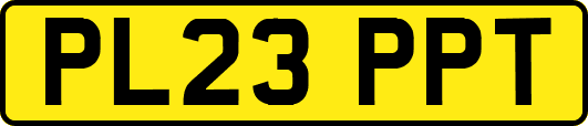 PL23PPT