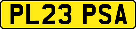 PL23PSA