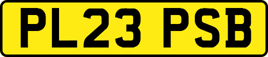 PL23PSB
