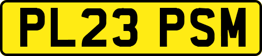 PL23PSM