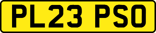 PL23PSO