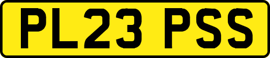 PL23PSS