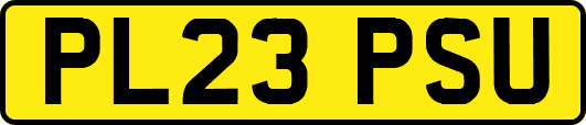 PL23PSU