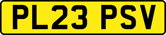 PL23PSV