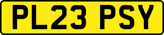 PL23PSY
