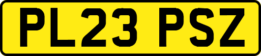 PL23PSZ