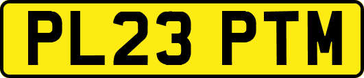 PL23PTM