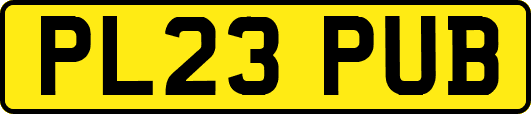 PL23PUB