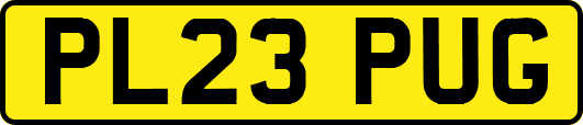 PL23PUG