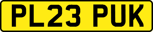 PL23PUK