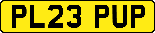 PL23PUP