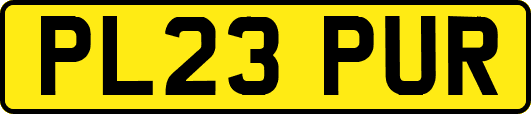 PL23PUR