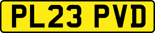PL23PVD