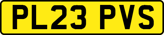 PL23PVS