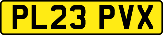 PL23PVX