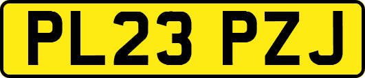 PL23PZJ
