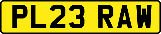 PL23RAW