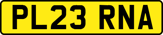 PL23RNA