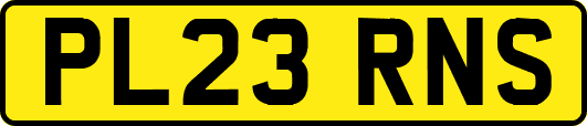 PL23RNS