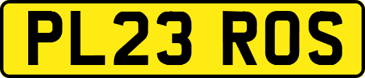 PL23ROS