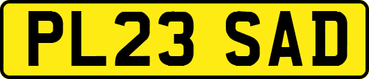 PL23SAD