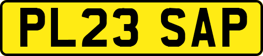 PL23SAP