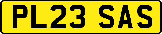 PL23SAS