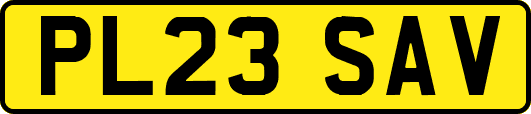 PL23SAV