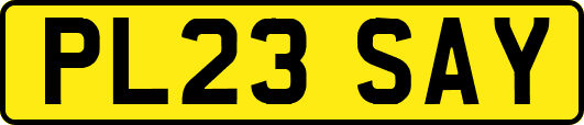 PL23SAY
